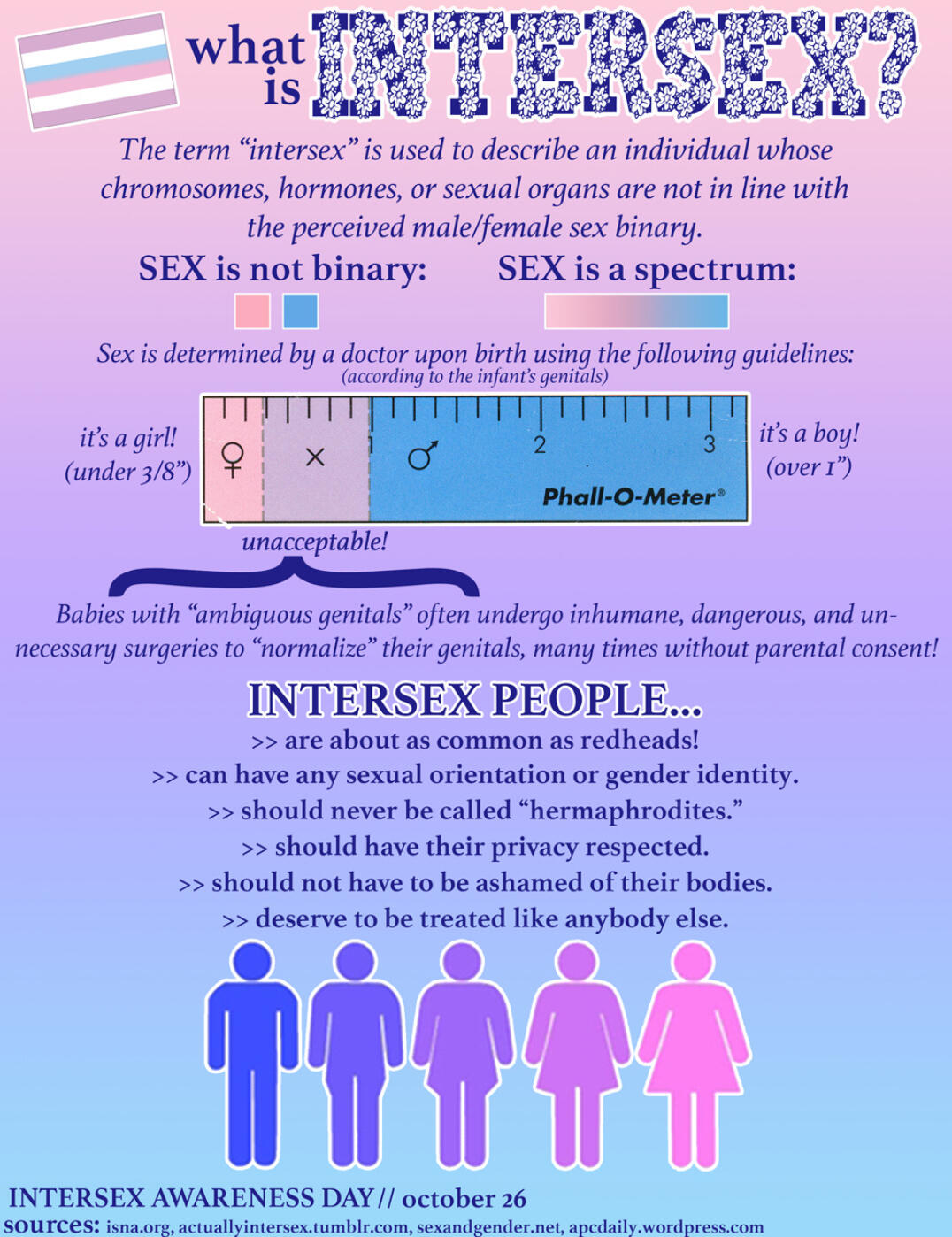 image showing the measurements of "ambiguous" genitalia image showing the measurements of "ambiguous" genitalia