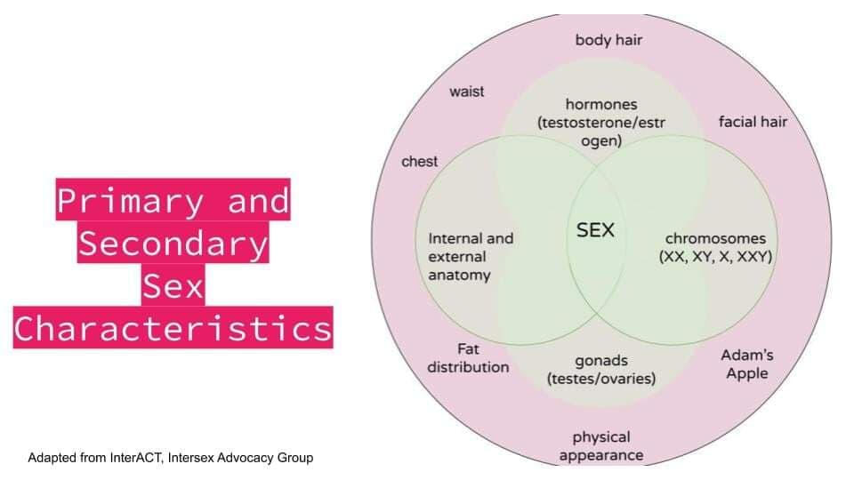 Image of a graph showing primary & secondary sex characteristics Image of a graph showing primary & secondary sex characteristics