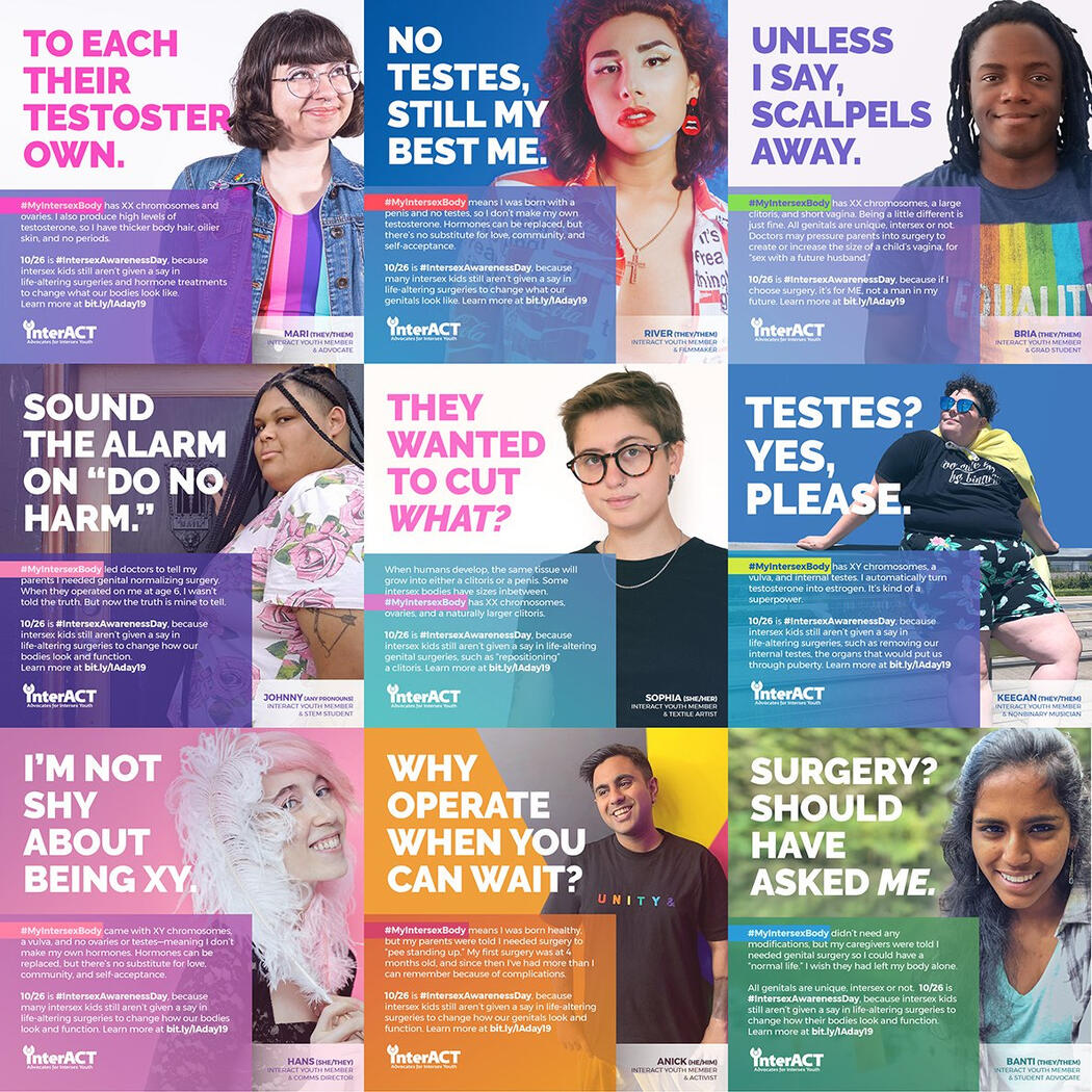 image of a collage of 9 interACT advocate's stories