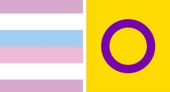 Image with Link. Image Description: the two intersex flags.