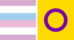 Image with Link. Image Description: the two intersex flags.
